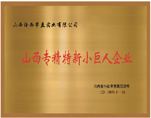 山西专精特新小巨人企业